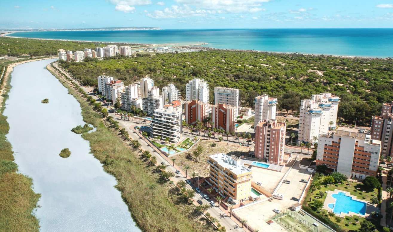 Obra nueva - Ático - Guardamar del Segura - Puerto