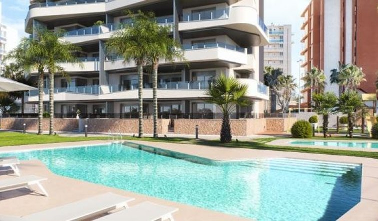 Obra nueva - Apartamento / piso - Guardamar del Segura - Puerto