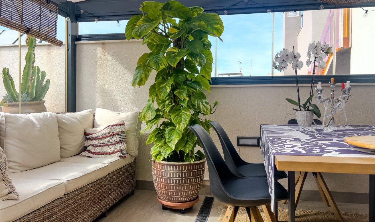 Reventa - Apartamento / piso - Torrevieja - torrevieja