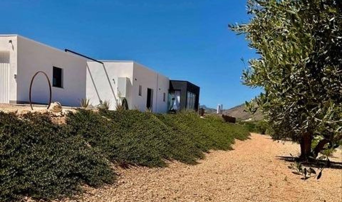 Obra nueva - Villa - Jumilla - Torre del Rico