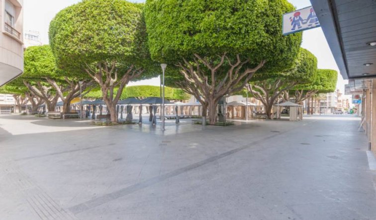 Obra nueva - Business - Almoradí - Almoradí Centro