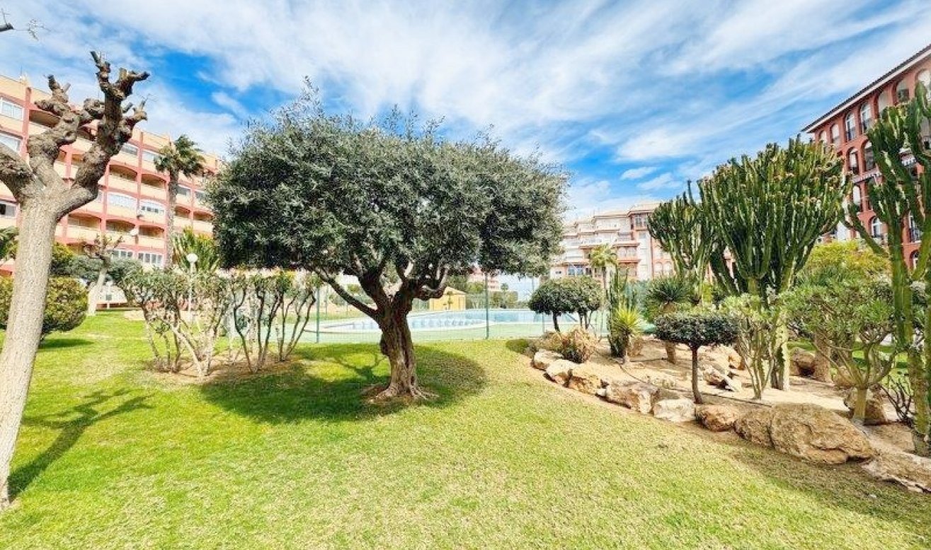 Reventa - Apartamento / piso - Torrevieja - Aguas Nuevas 1