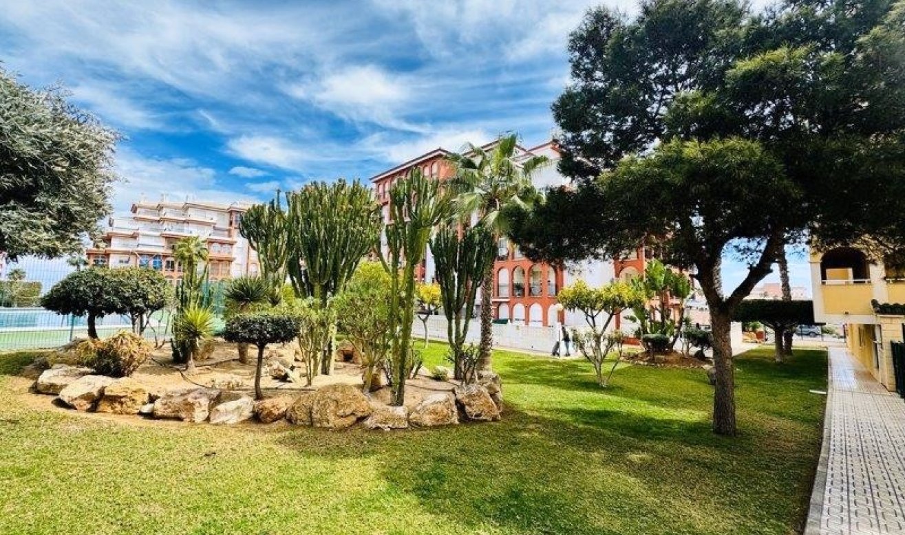 Reventa - Apartamento / piso - Torrevieja - Aguas Nuevas 1