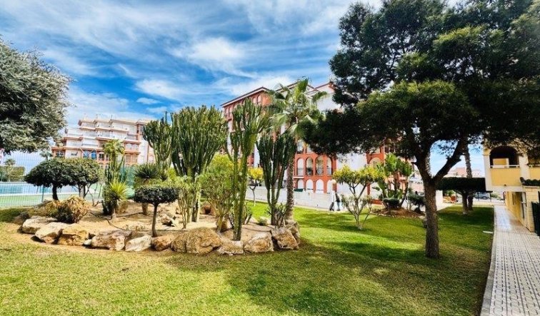 Reventa - Apartamento / piso - Torrevieja - Aguas Nuevas 1