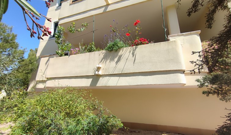 Reventa - Apartamento / piso - Orihuela Costa - Campoamor