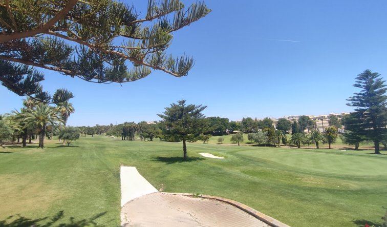 Reventa - Apartamento / piso - Orihuela Costa - Campoamor