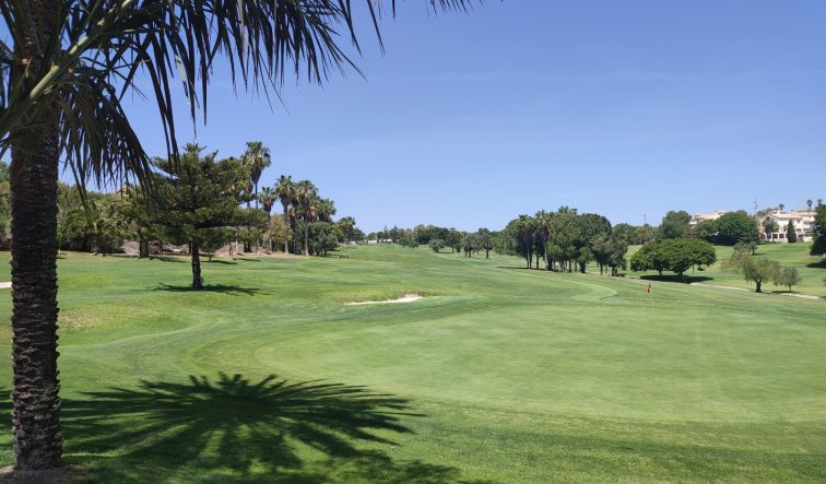 Reventa - Apartamento / piso - Orihuela Costa - Campoamor