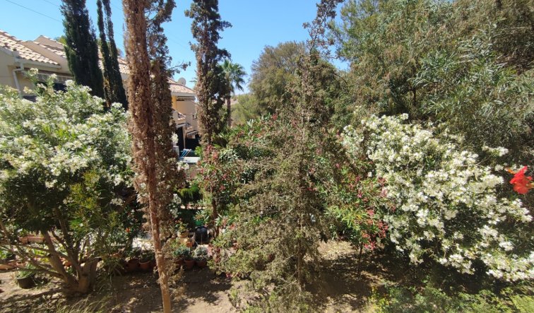 Reventa - Apartamento / piso - Orihuela Costa - Campoamor