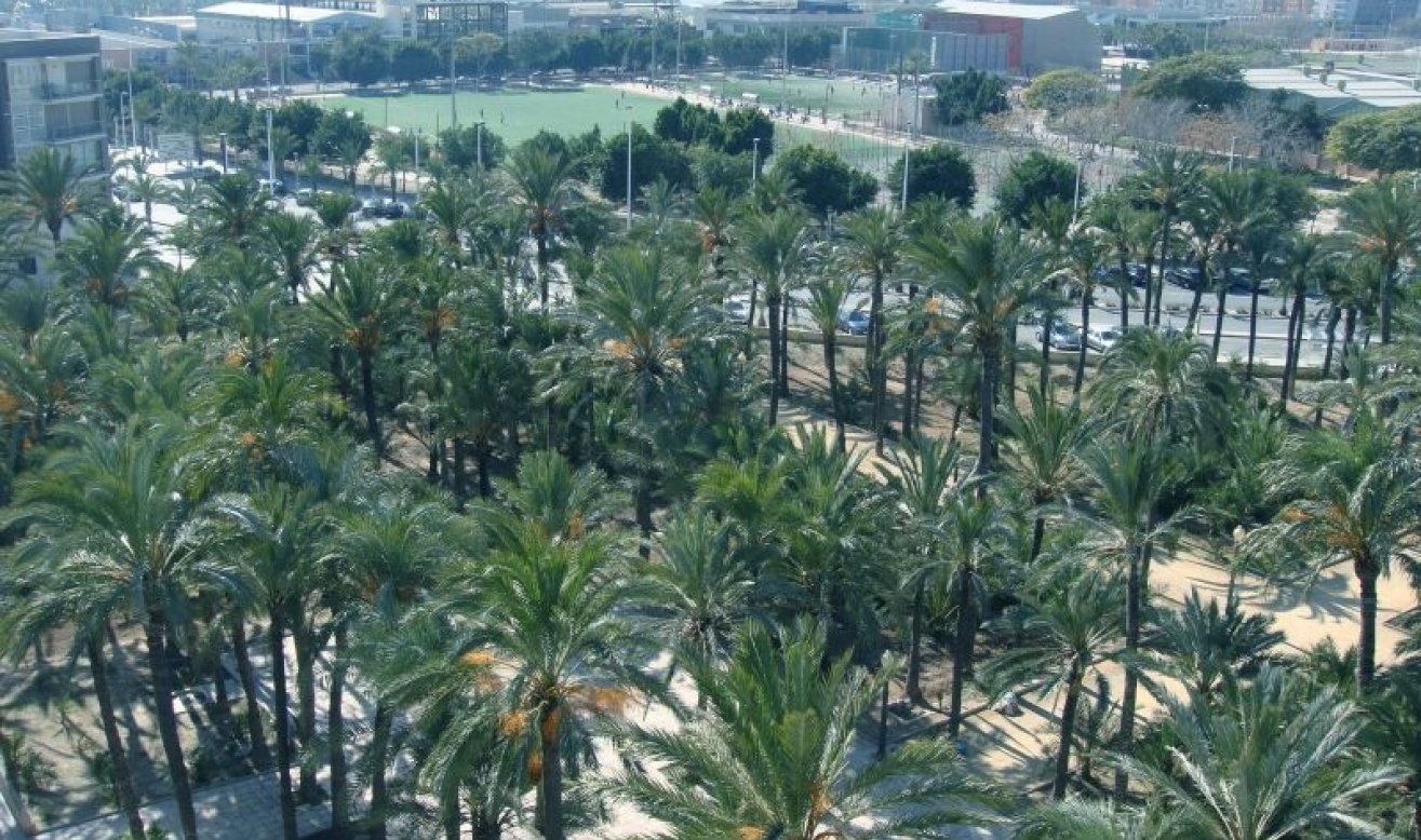 Resale - Apartment / flat - Elche
