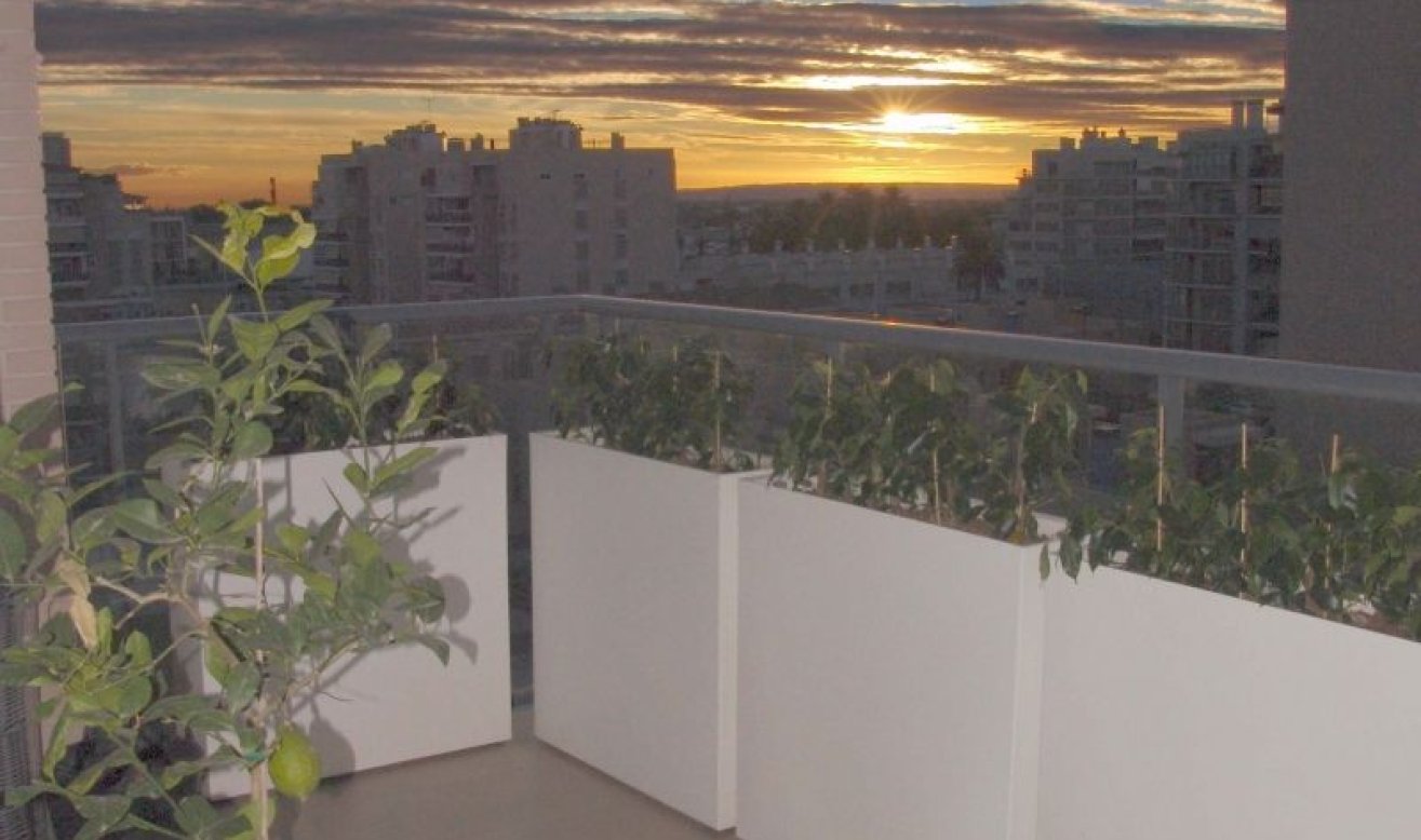 Resale - Apartment / flat - Elche