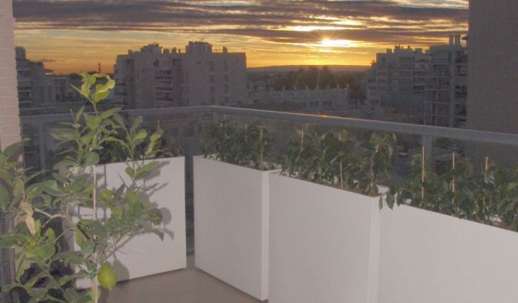 Resale - Apartment / flat - Elche