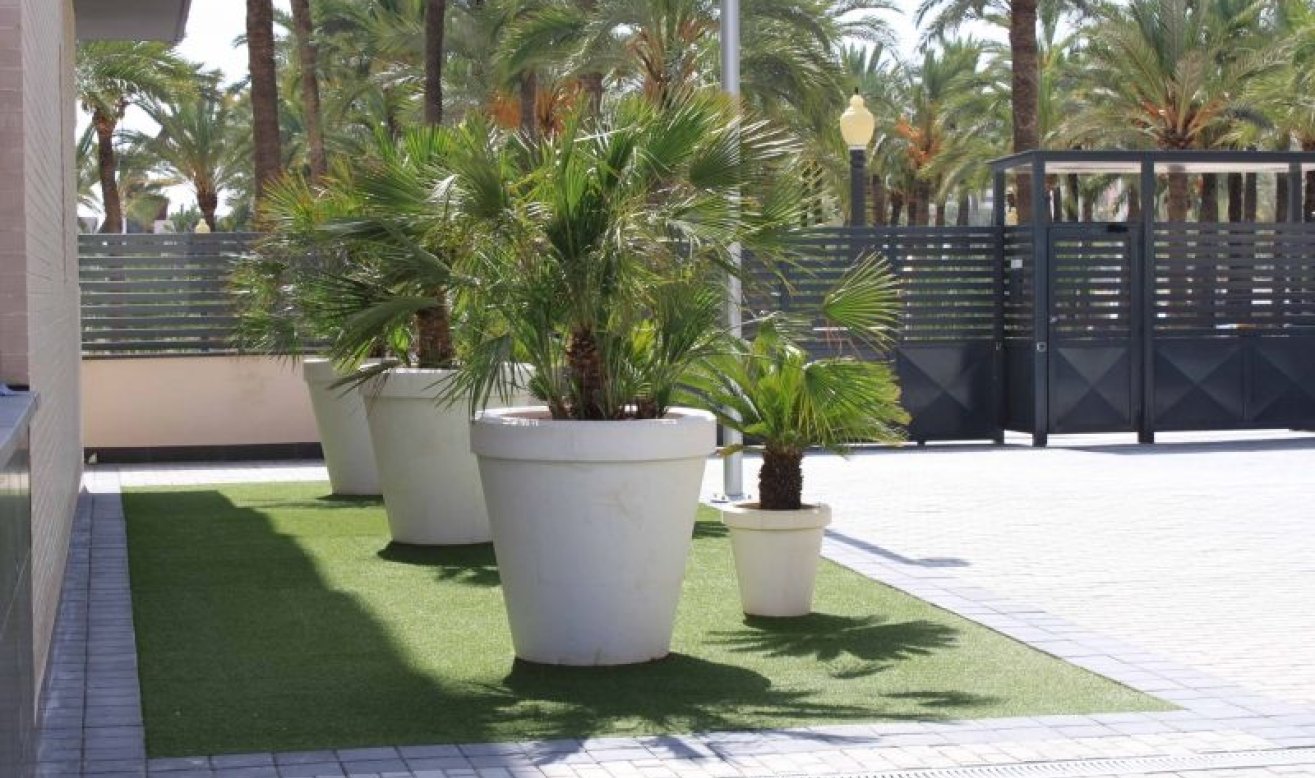 Resale - Apartment / flat - Elche