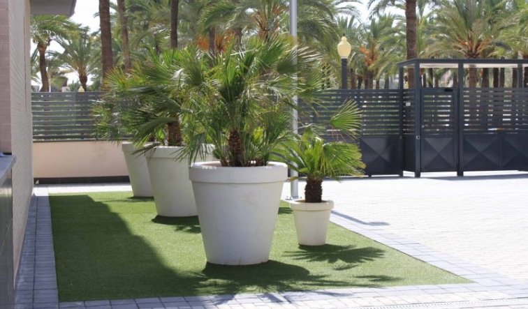 Resale - Apartment / flat - Elche