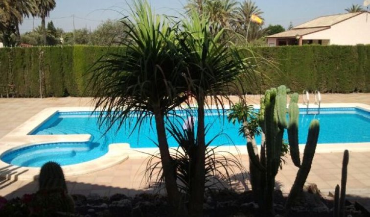 Reventa - Villa - Elche