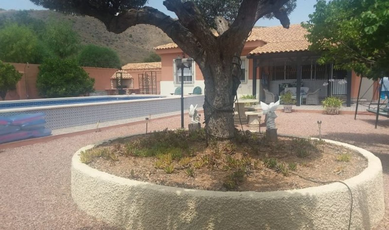 Reventa - Country house - Hondón de las Nieves