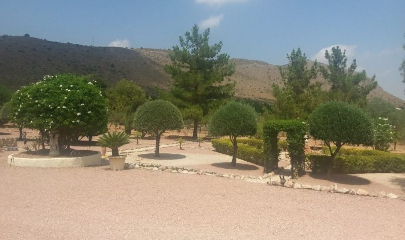 Reventa - Country house - Hondón de las Nieves