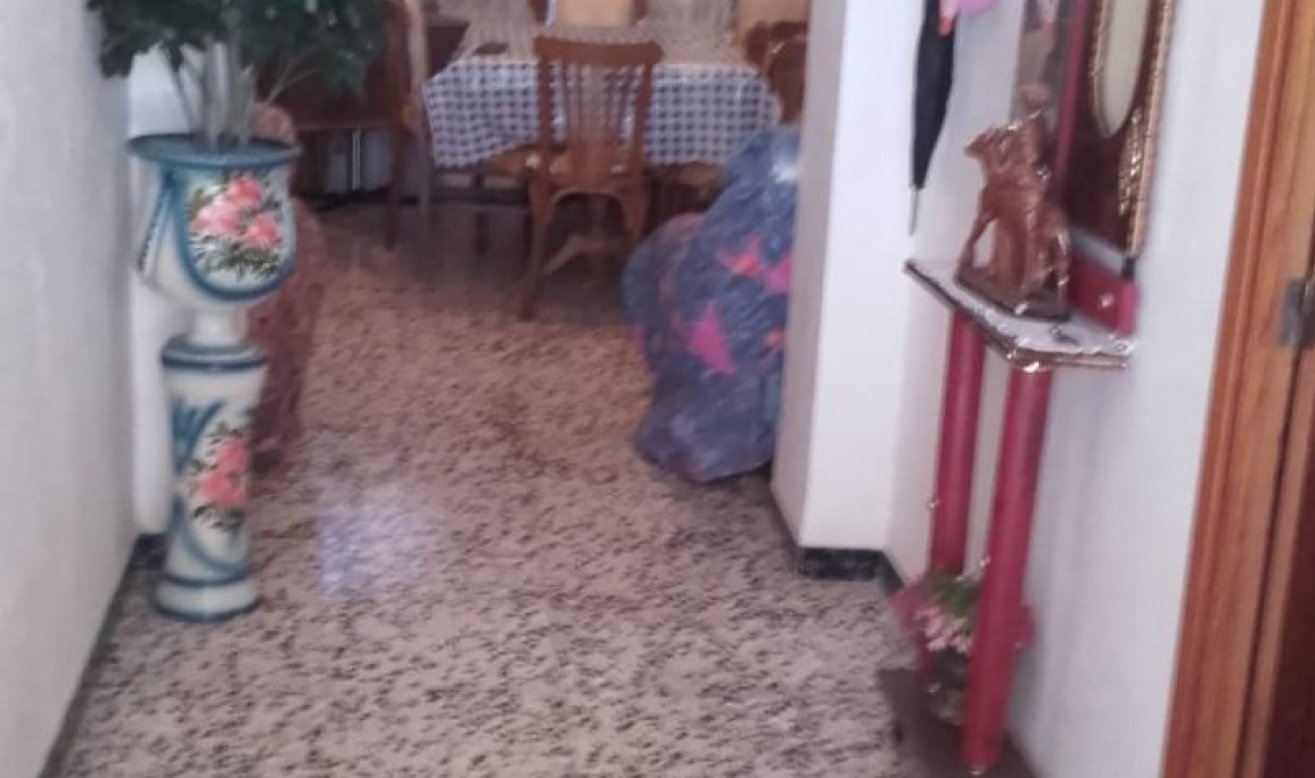 Resale - Villa - Barinas