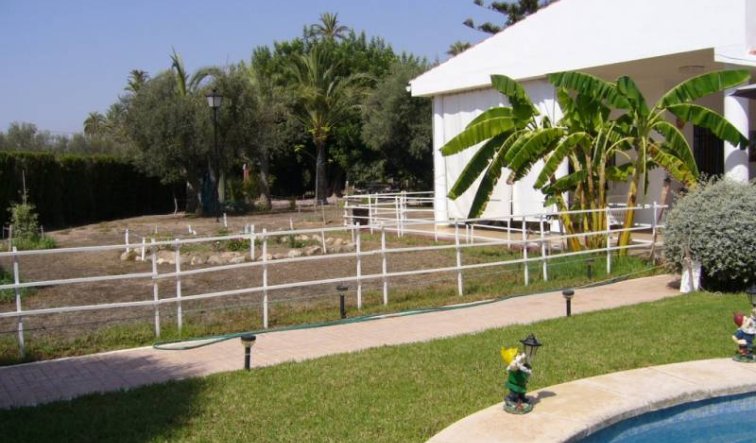 Reventa - Villa - Elche