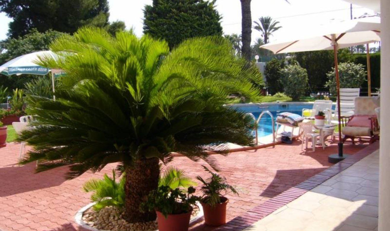 Reventa - Villa - Elche