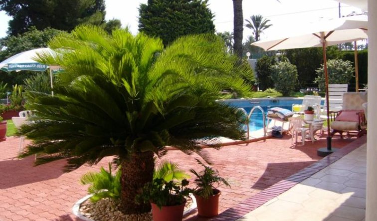 Reventa - Villa - Elche