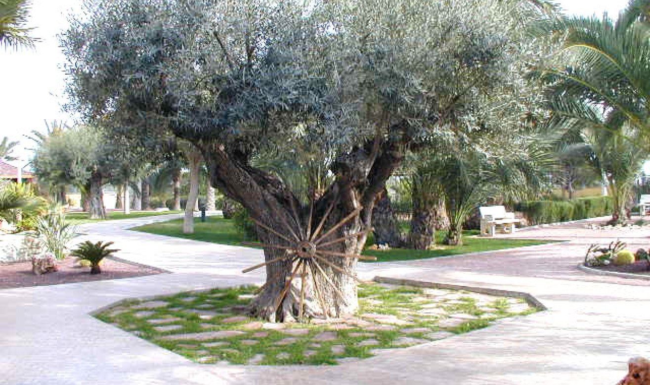 Reventa - Villa - Elche