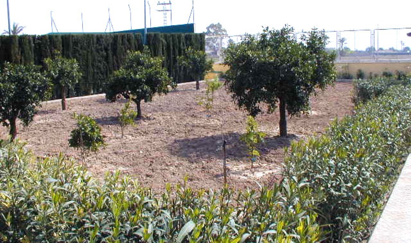 Reventa - Villa - Elche