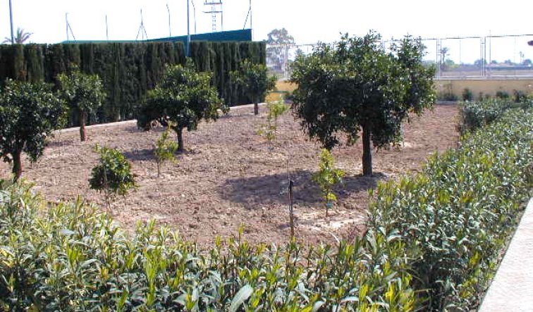 Reventa - Villa - Elche