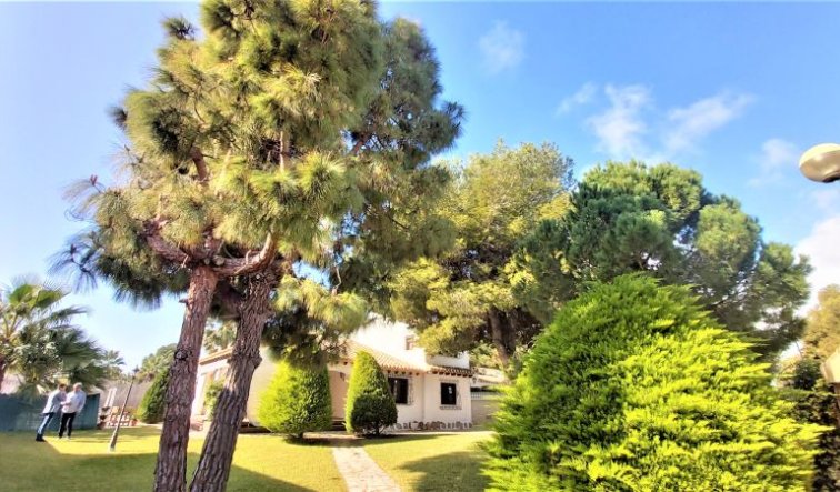 Reventa - Villa - Torrevieja - torrevieja