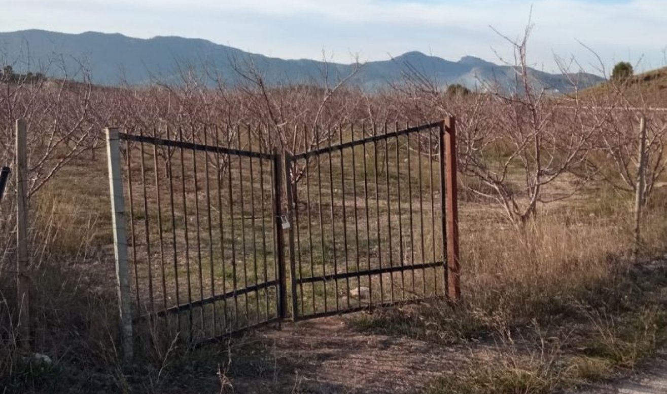 Resale - land - Hondón de las Nieves