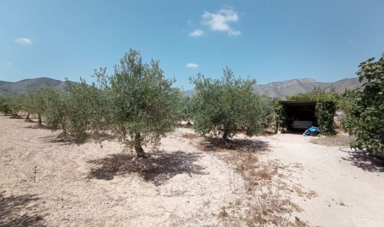 Resale - Villa - Hondón de las Nieves