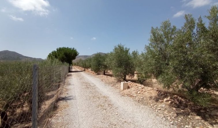 Resale - Villa - Hondón de las Nieves