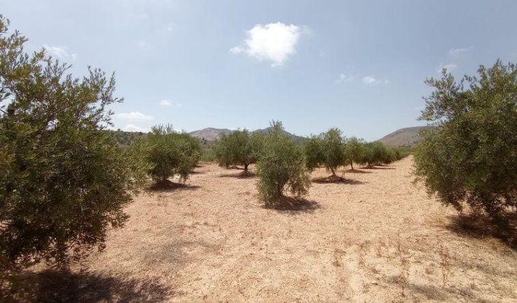 Resale - Villa - Hondón de las Nieves