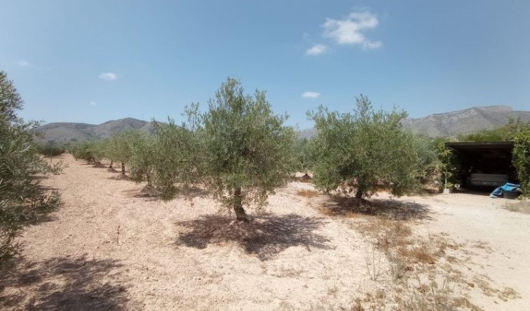 Resale - Villa - Hondón de las Nieves