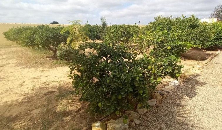 Reventa - Country house - San Javier