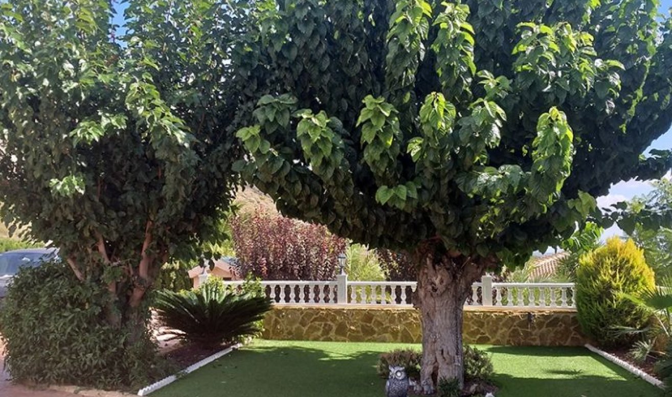 Revente - Villa - Hondón de las Nieves