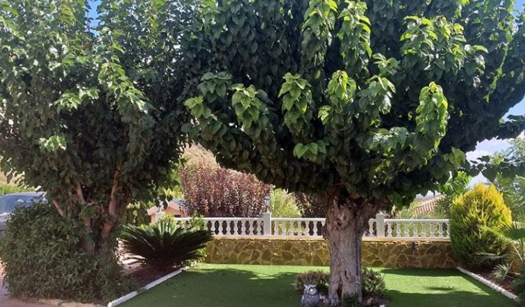 Revente - Villa - Hondón de las Nieves