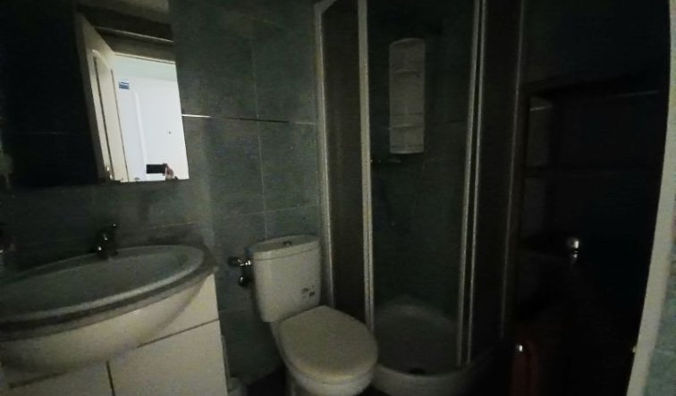  - Studio - Torrevieja - torrevieja