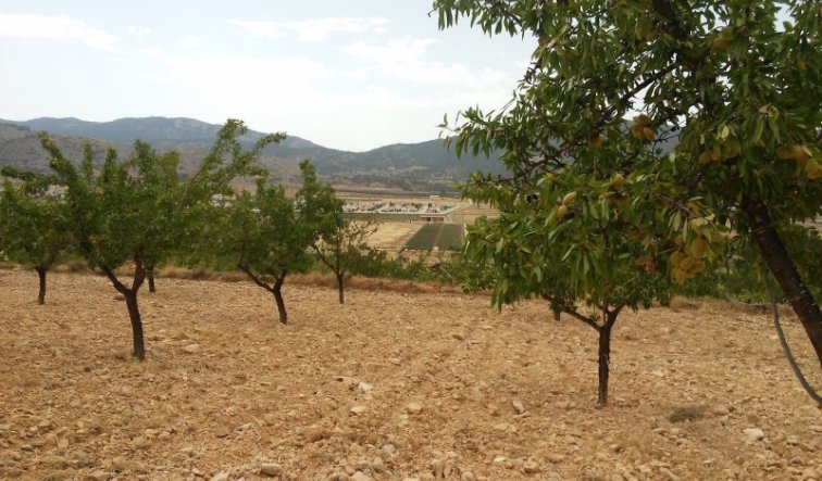 Reventa - land - Hondón de las Nieves