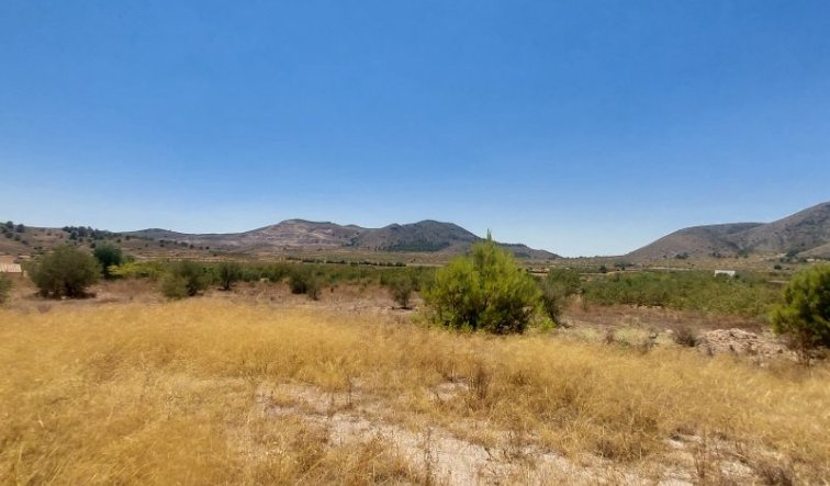 Reventa - Villa - Hondón de las Nieves