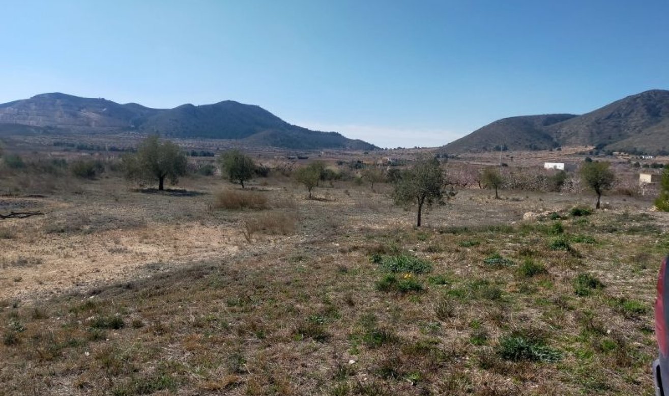 Reventa - Villa - Hondón de las Nieves