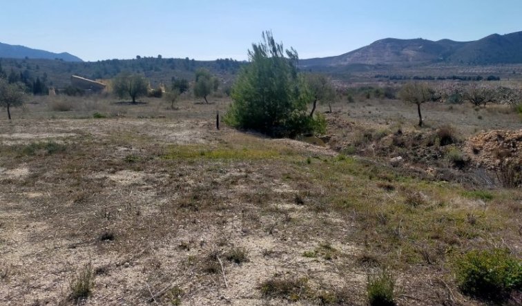 Reventa - Villa - Hondón de las Nieves