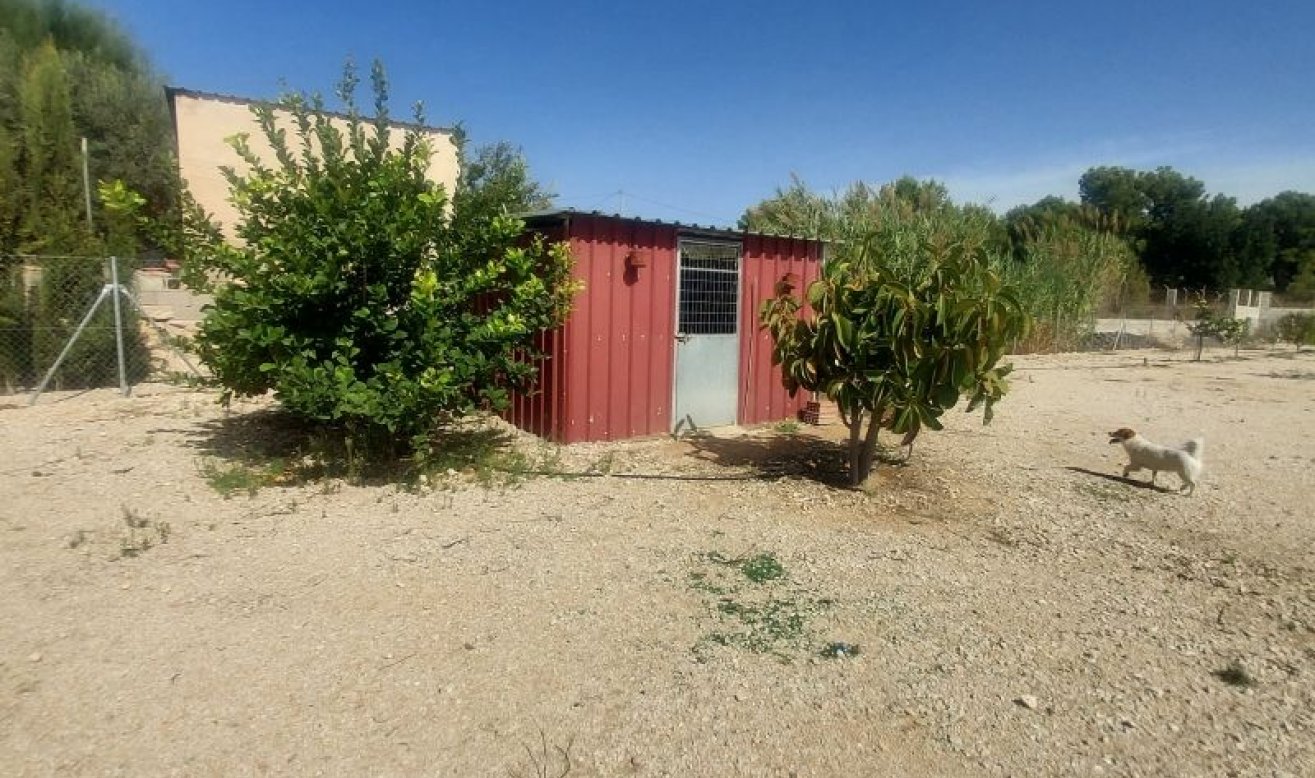 Revente - Country house - La Romana