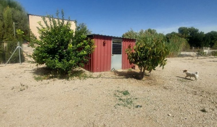 Revente - Country house - La Romana