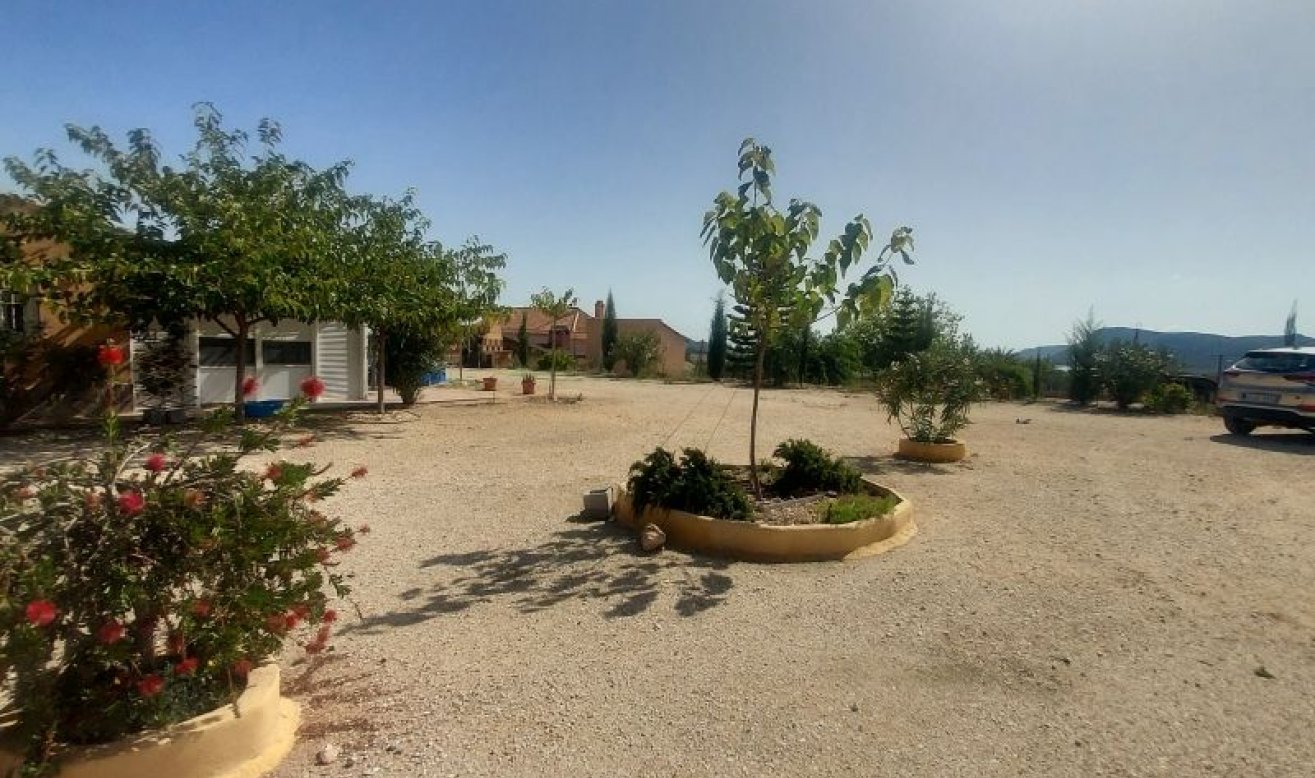 Revente - Country house - La Romana
