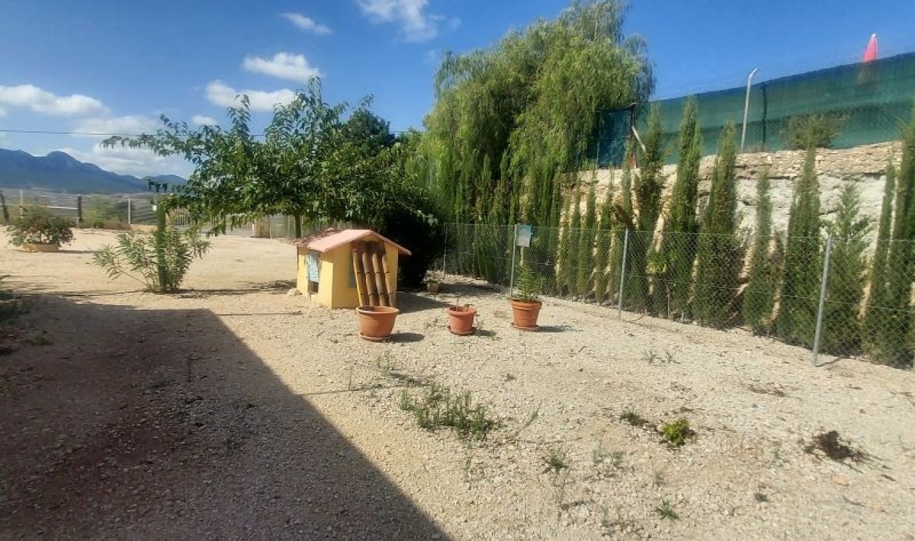 Revente - Country house - La Romana