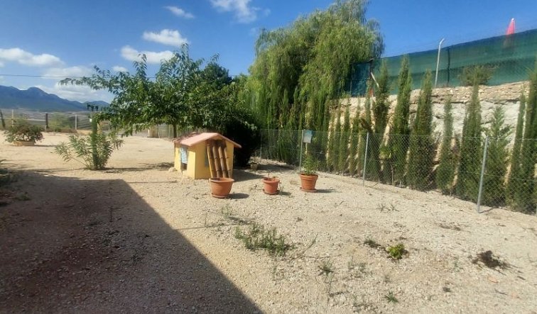 Revente - Country house - La Romana