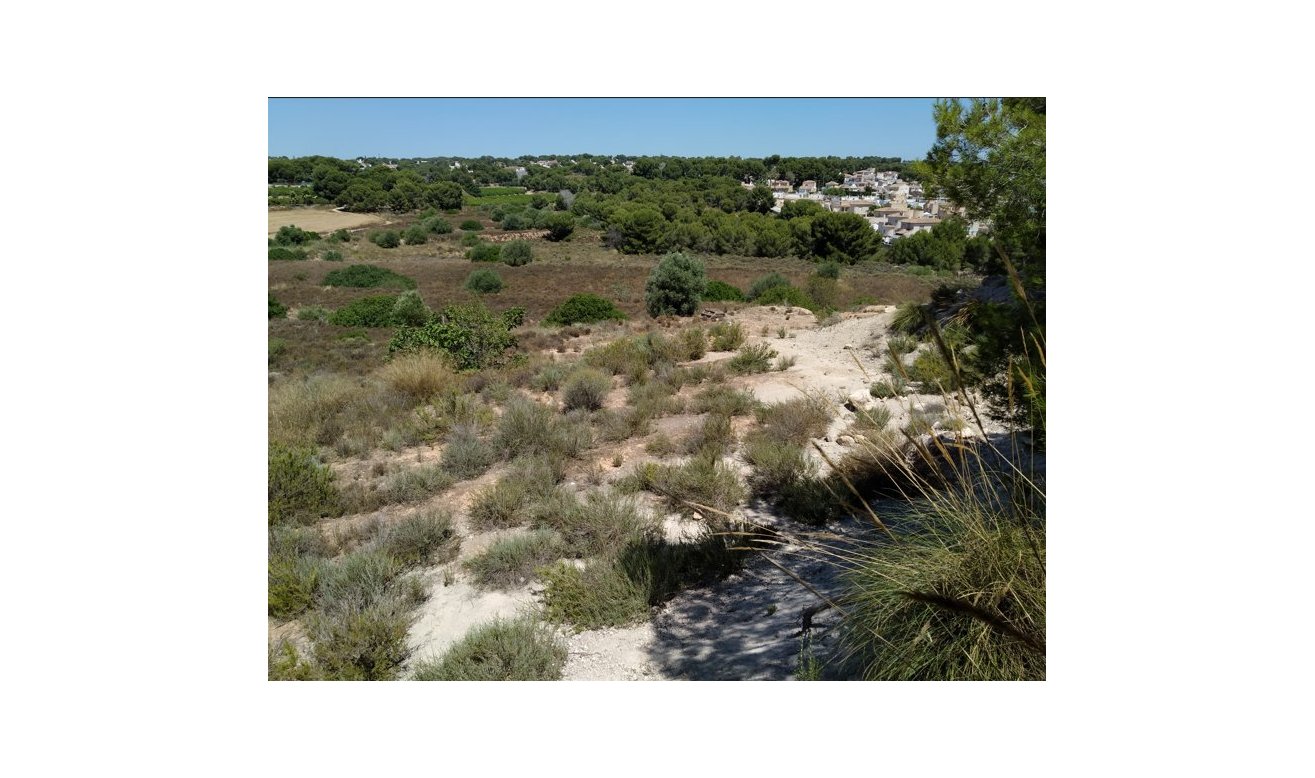 Reventa - land - Pinar de Campoverde