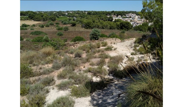 Reventa - land - Pinar de Campoverde