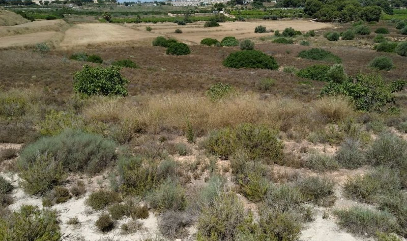 Reventa - land - Pinar de Campoverde