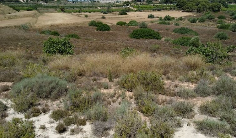 Reventa - land - Pinar de Campoverde